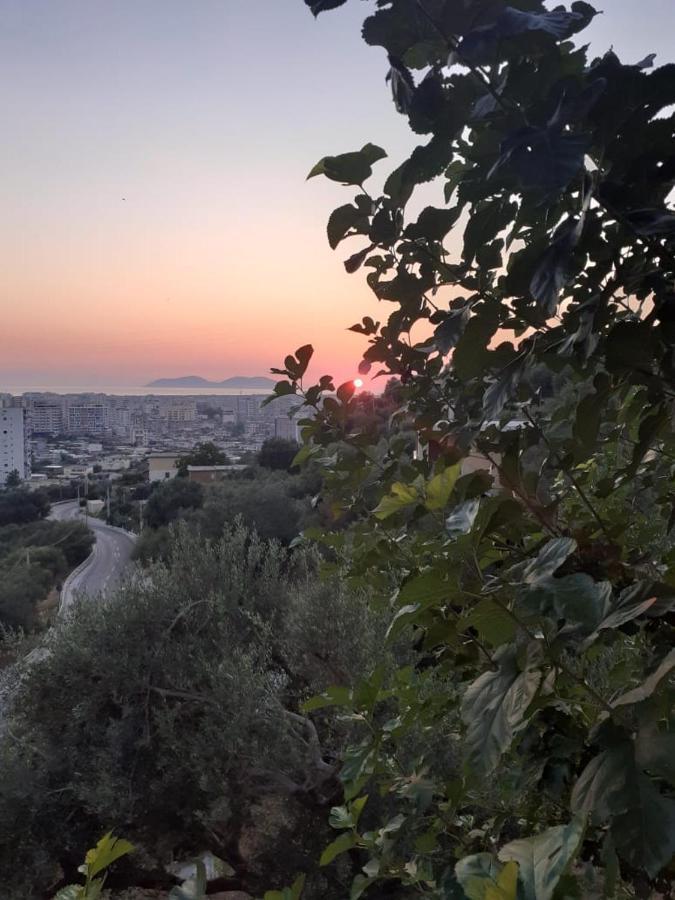 Vila Oliven Vlorë Extérieur photo