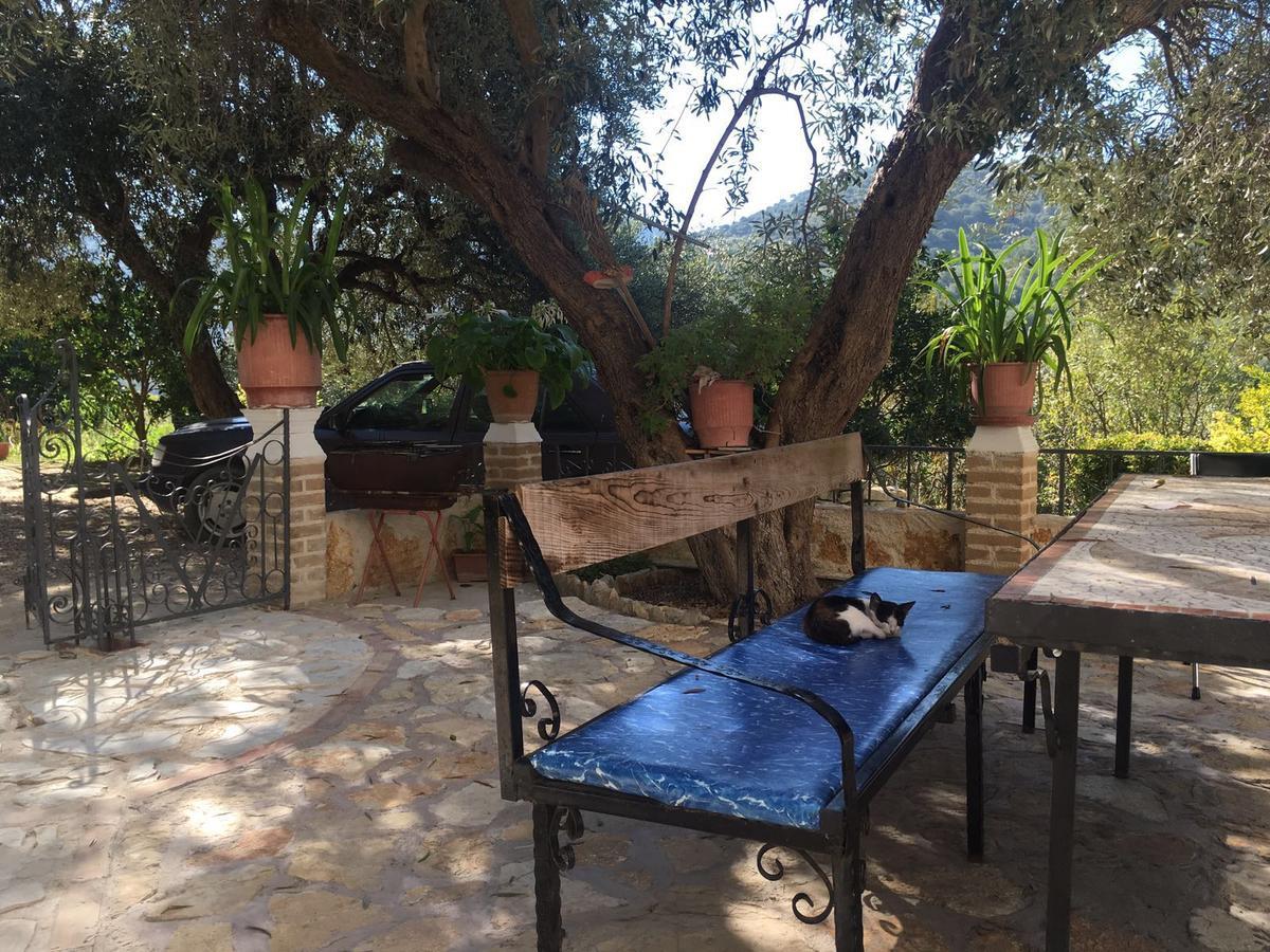 Vila Oliven Vlorë Extérieur photo