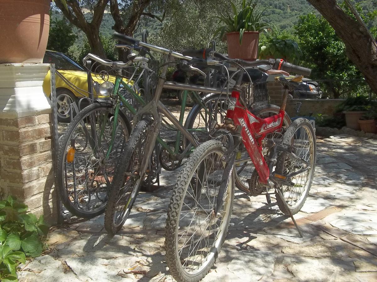 Vila Oliven Vlorë Extérieur photo